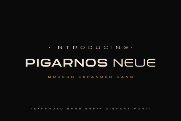Pigarnos Neue: A Display Font with a Modern Edge
